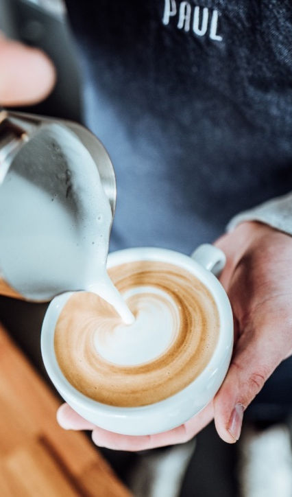 Bio-Kaffee Cappuccino